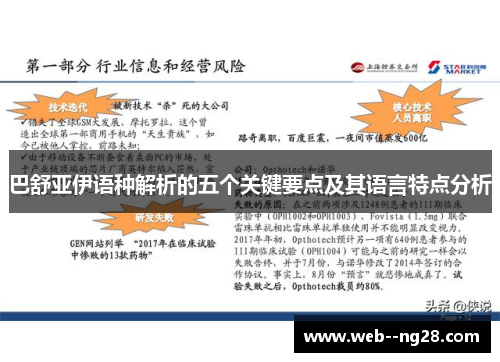 巴舒亚伊语种解析的五个关键要点及其语言特点分析