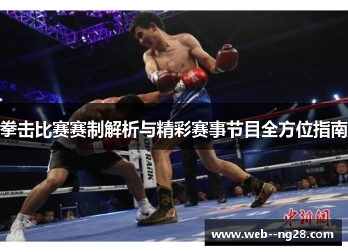 拳击比赛赛制解析与精彩赛事节目全方位指南