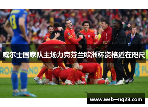 威尔士国家队主场力克芬兰欧洲杯资格近在咫尺