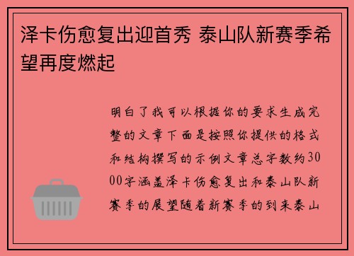 泽卡伤愈复出迎首秀 泰山队新赛季希望再度燃起