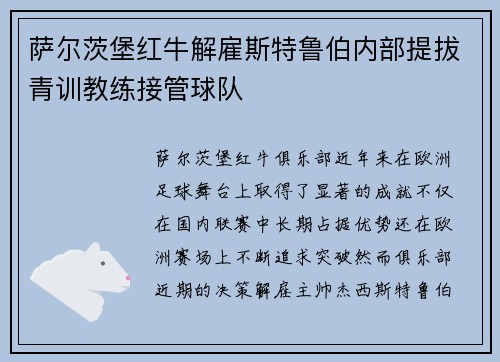 萨尔茨堡红牛解雇斯特鲁伯内部提拔青训教练接管球队